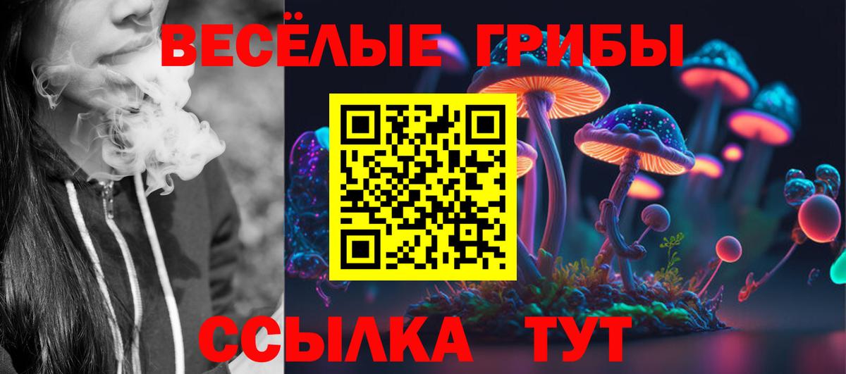 Галлюциногенные грибы GOLDEN TEACHER  Вход с VPN  Биробиджан 